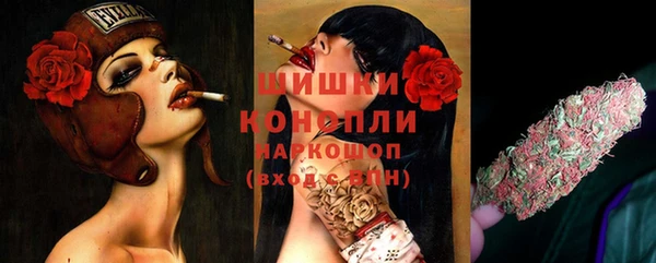 spice Аркадак