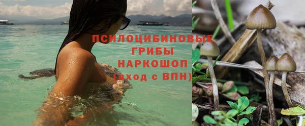 марки lsd Арсеньев
