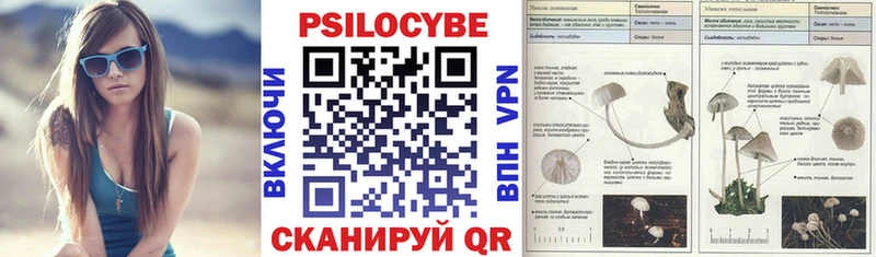 Галлюциногенные грибы GOLDEN TEACHER  Котельнич 